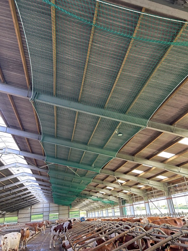 Safety netting on farm building
